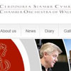 Chamber_Orchestra_1